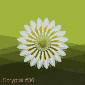 Scryptal #30 - POLYGON charity dynamic on-chain NFT